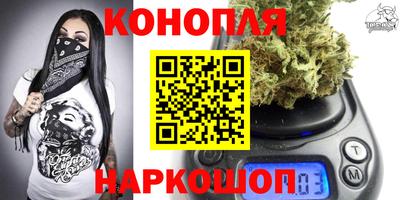 ешки Камышлов